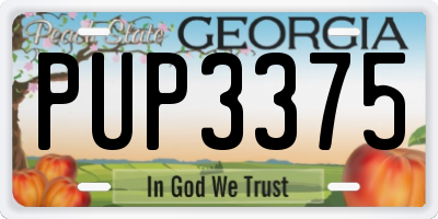 GA license plate PUP3375