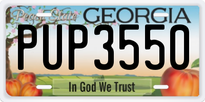 GA license plate PUP3550