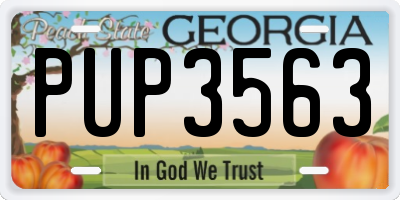 GA license plate PUP3563