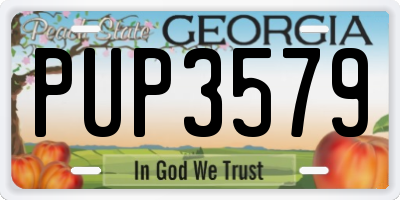 GA license plate PUP3579