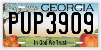 GA license plate PUP3909