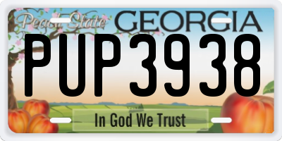 GA license plate PUP3938