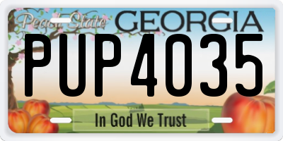 GA license plate PUP4035