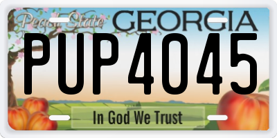 GA license plate PUP4045