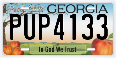 GA license plate PUP4133
