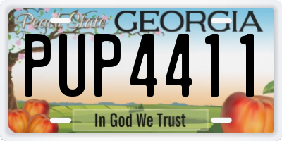 GA license plate PUP4411
