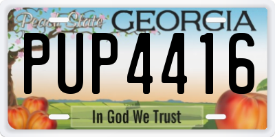 GA license plate PUP4416