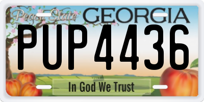 GA license plate PUP4436