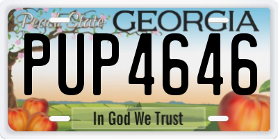 GA license plate PUP4646