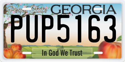 GA license plate PUP5163