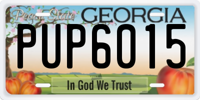 GA license plate PUP6015