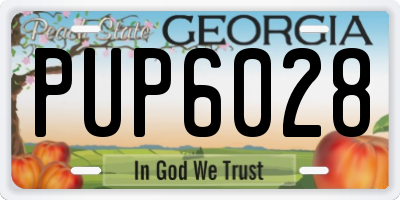 GA license plate PUP6028