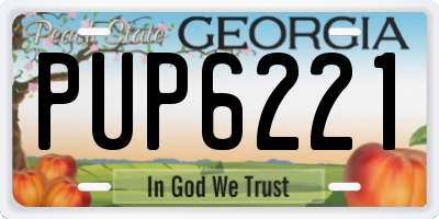 GA license plate PUP6221