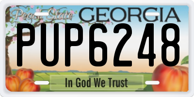 GA license plate PUP6248