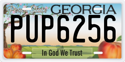 GA license plate PUP6256