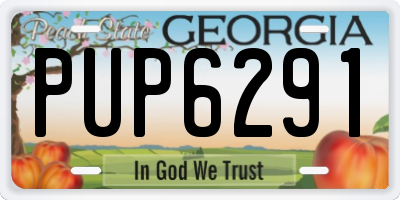 GA license plate PUP6291
