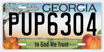 GA license plate PUP6304