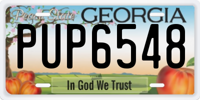 GA license plate PUP6548
