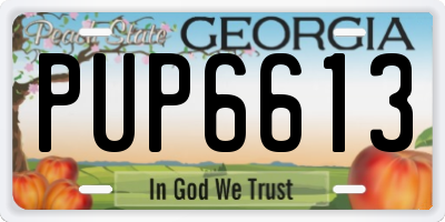 GA license plate PUP6613