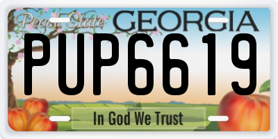 GA license plate PUP6619