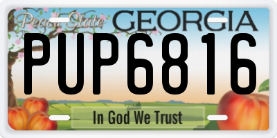 GA license plate PUP6816