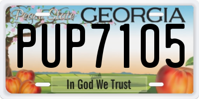 GA license plate PUP7105