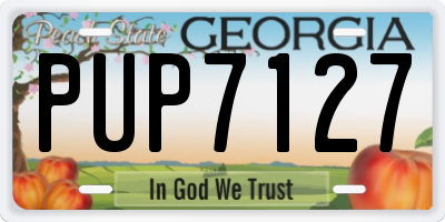 GA license plate PUP7127