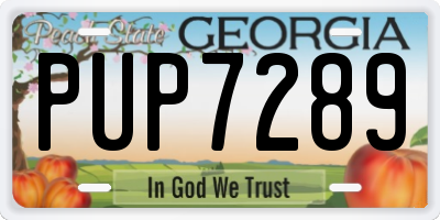 GA license plate PUP7289