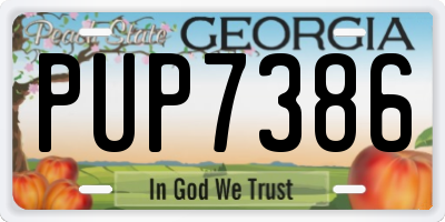 GA license plate PUP7386