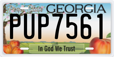 GA license plate PUP7561