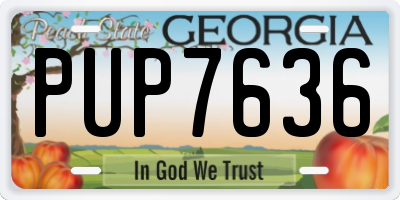 GA license plate PUP7636