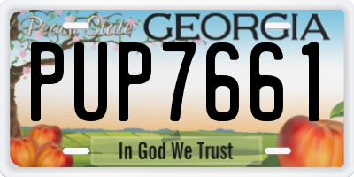 GA license plate PUP7661