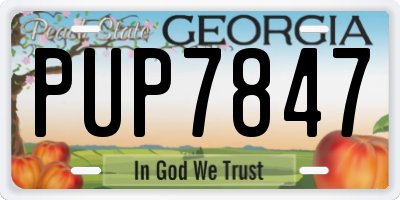GA license plate PUP7847