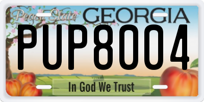 GA license plate PUP8004