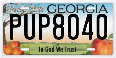 GA license plate PUP8040