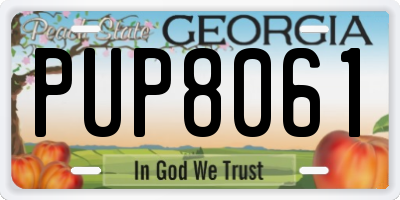 GA license plate PUP8061