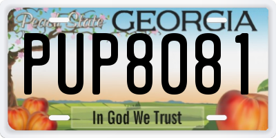 GA license plate PUP8081