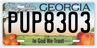 GA license plate PUP8303