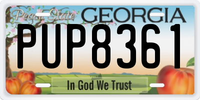 GA license plate PUP8361
