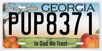 GA license plate PUP8371