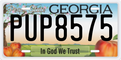 GA license plate PUP8575