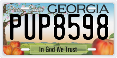 GA license plate PUP8598