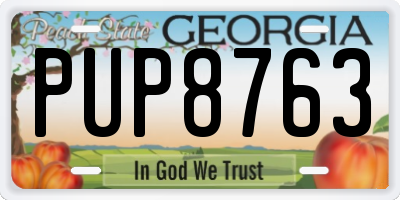 GA license plate PUP8763
