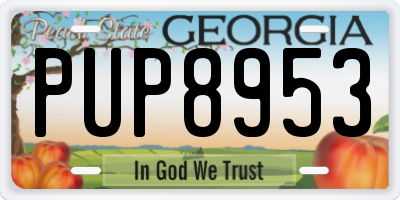 GA license plate PUP8953