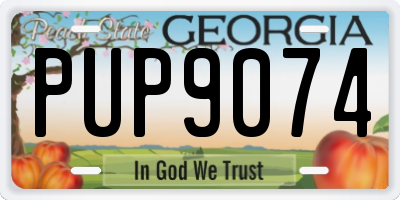 GA license plate PUP9074