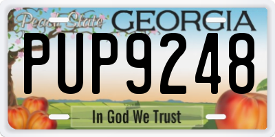 GA license plate PUP9248