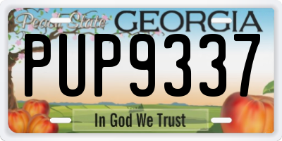GA license plate PUP9337