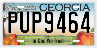 GA license plate PUP9464