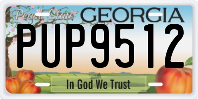 GA license plate PUP9512