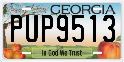 GA license plate PUP9513